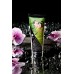 Массажный крем для тела Shunga «Груша и зеленый чай» (Pear&Exotic Green Tea), съедобный, 200мл