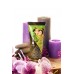 Массажный крем для тела Shunga «Груша и зеленый чай» (Pear&Exotic Green Tea), съедобный, 200мл