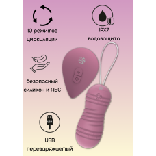 Виброшарики с циркуляцией на пульте управления Take it Easy Ray Pink 9021-10lola